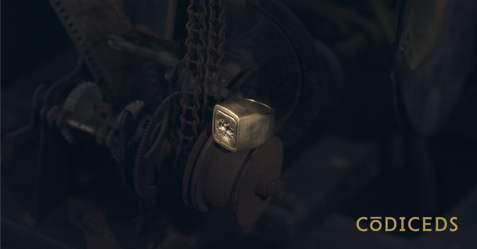 CōDICEDS intro photo